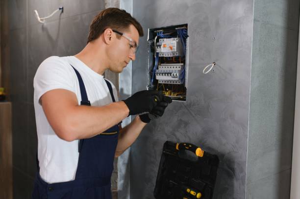 Best Electrical Repair Services  in Mendota, IL