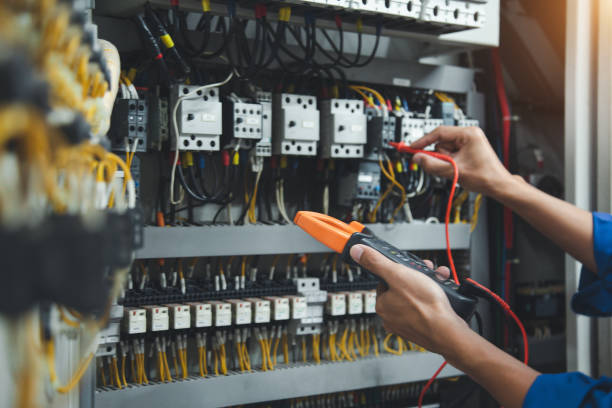 Best Home Electrical Repair  in Mendota, IL