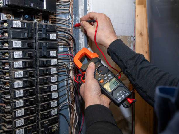 Best Local Electrician Companies  in Mendota, IL